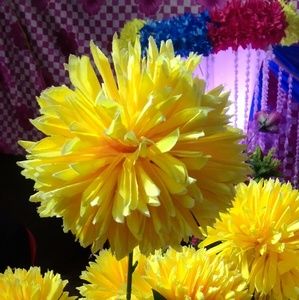 Meet your Posher, Amanttula